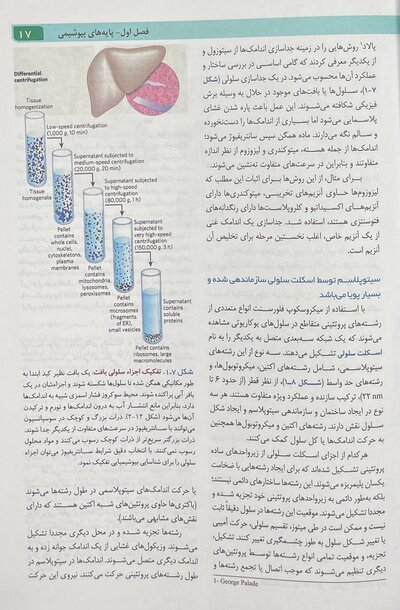 اصول بیوشیمی لنینجر 2021 ویرایش هشتم جلد اول