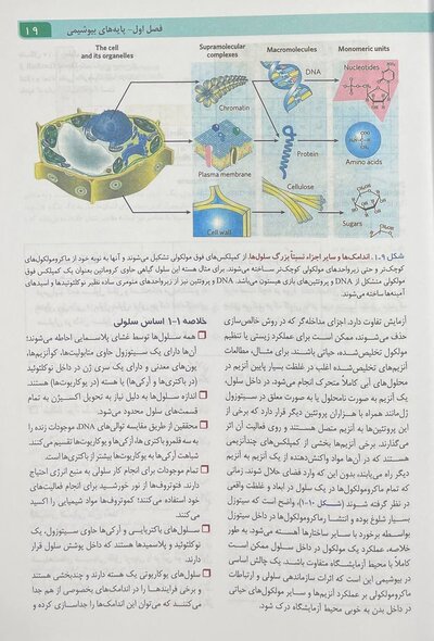 اصول بیوشیمی لنینجر 2021 ویرایش هشتم جلد اول