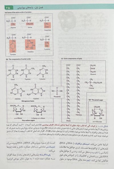 اصول بیوشیمی لنینجر 2021 ویرایش هشتم جلد اول
