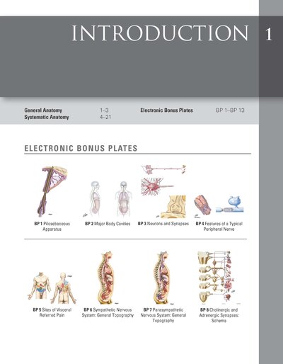 Netter Atlas of HUMAN ANATOMY 8e 2023 (تحریر)