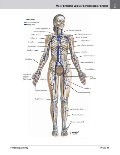Netter Atlas of HUMAN ANATOMY 8e 2023 (تحریر)