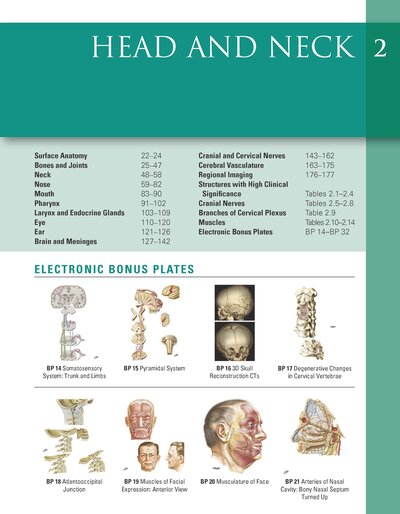 Netter Atlas of HUMAN ANATOMY 8e 2023 (تحریر)