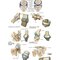 Netter Atlas of HUMAN ANATOMY 8e 2023 (تحریر)
