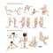 Netter Atlas of HUMAN ANATOMY 8e 2023 (تحریر)