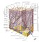 Netter Atlas of HUMAN ANATOMY 8e 2023 (تحریر)