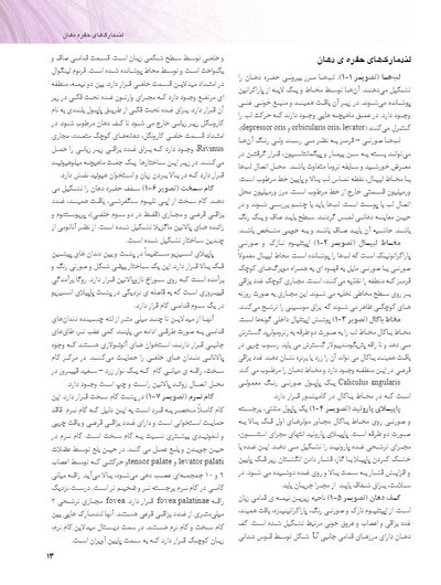 اطلس رنگی بیماری های شایع دهان
