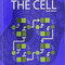 Molecular Biology of the Cell