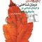 یکپارچه  سازی درمان شناختی-رفتاری و درمان مبتنی بر پذیرش و تعهد (راهنمای کاربردی)