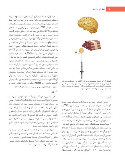 بی حسی موضعی مالامد 2020
