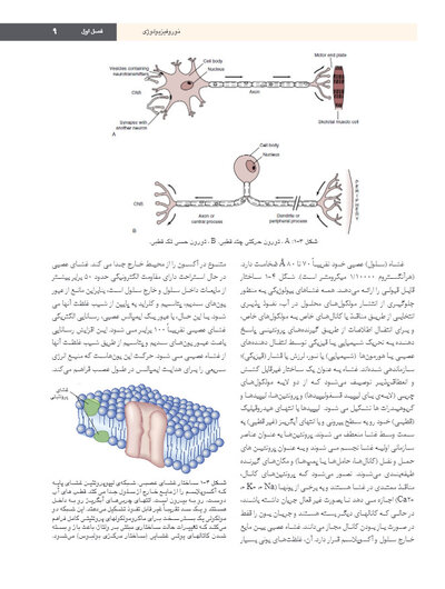 بی حسی موضعی مالامد 2020