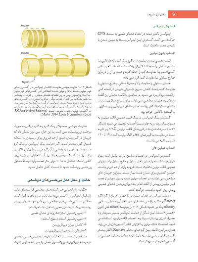 بی حسی موضعی مالامد 2020
