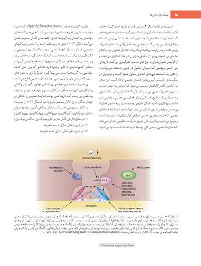بی حسی موضعی مالامد 2020