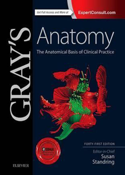 Gray's Anatomy : The Anatomical Basis of Clinical Practice