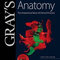 Gray's Anatomy : The Anatomical Basis of Clinical Practice