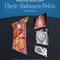 Imaging Anatomy: Chest, Abdomen, Pelvis