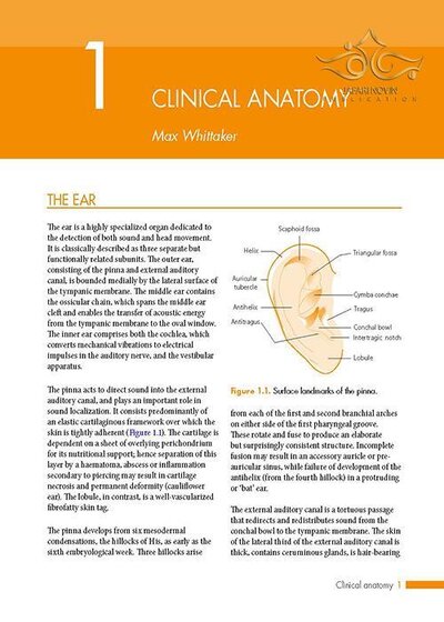ENT: An Introduction and Practical Guide