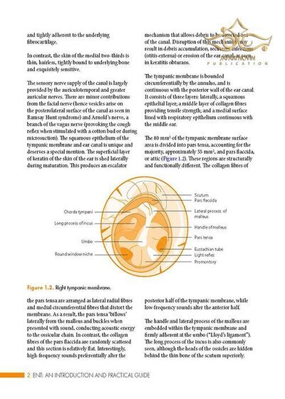 ENT: An Introduction and Practical Guide