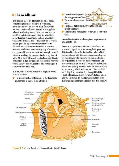 ENT: An Introduction and Practical Guide