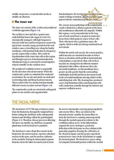 ENT: An Introduction and Practical Guide