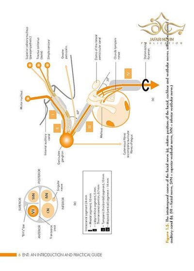 ENT: An Introduction and Practical Guide
