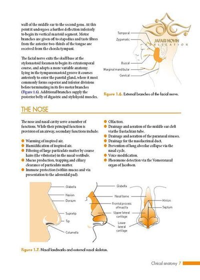 ENT: An Introduction and Practical Guide
