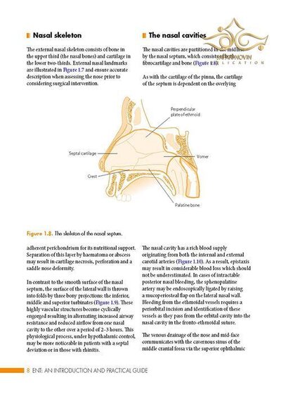 ENT: An Introduction and Practical Guide