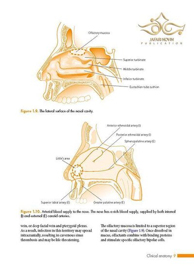 ENT: An Introduction and Practical Guide