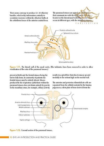 ENT: An Introduction and Practical Guide