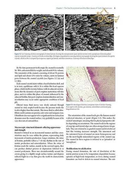 Preservation and Restoration of Tooth Structure 2016 حفظ و ترمیم ساختار دندان