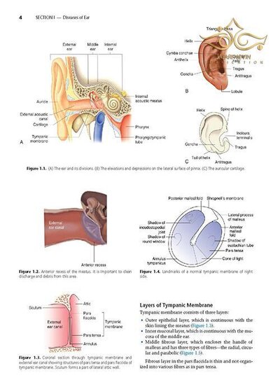 Diseases of Ear, Nose and Throat