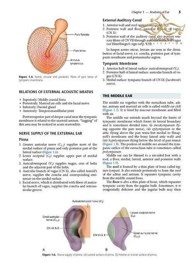 Diseases of Ear, Nose and Throat