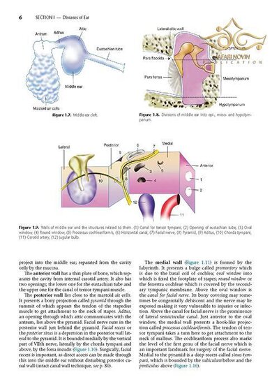 Diseases of Ear, Nose and Throat