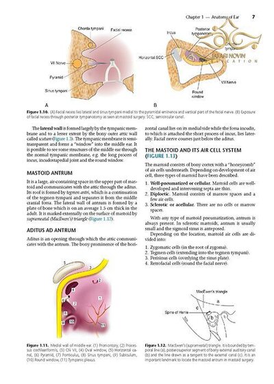 Diseases of Ear, Nose and Throat