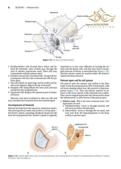 Diseases of Ear, Nose and Throat