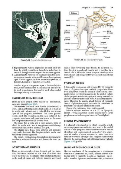 Diseases of Ear, Nose and Throat