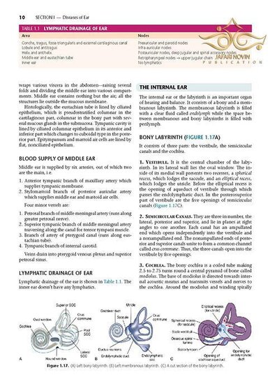 Diseases of Ear, Nose and Throat