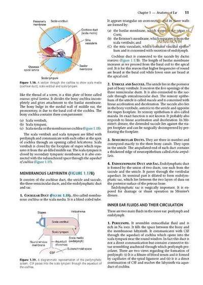 Diseases of Ear, Nose and Throat