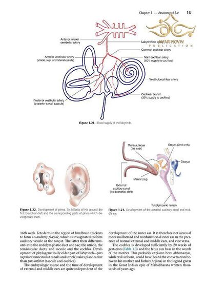 Diseases of Ear, Nose and Throat