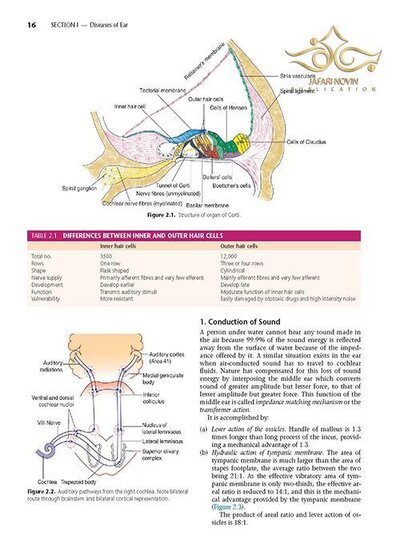 Diseases of Ear, Nose and Throat