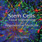 Stem Cells, Tissue Engineering And Regenerative Medicine