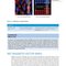 MRI in Practice 5th Edition