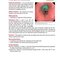 Extraordinary Cases in Emergency Medicine 2019