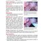Extraordinary Cases in Emergency Medicine 2019