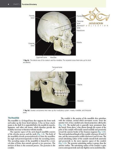 Management of Temporomandibular Disorders and Occlusion 2020
