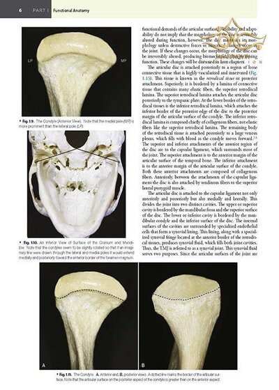 Management of Temporomandibular Disorders and Occlusion 2020