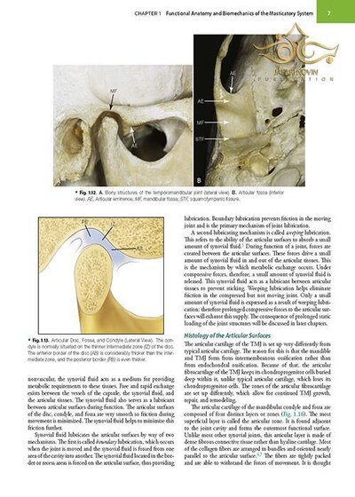 Management of Temporomandibular Disorders and Occlusion 2020
