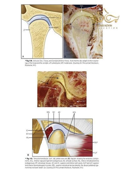 Management of Temporomandibular Disorders and Occlusion 2020