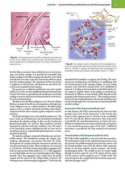 Management of Temporomandibular Disorders and Occlusion 2020