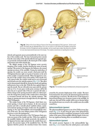 Management of Temporomandibular Disorders and Occlusion 2020
