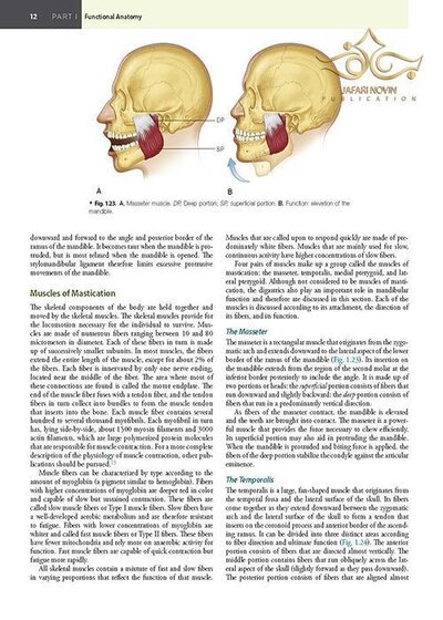 Management of Temporomandibular Disorders and Occlusion 2020